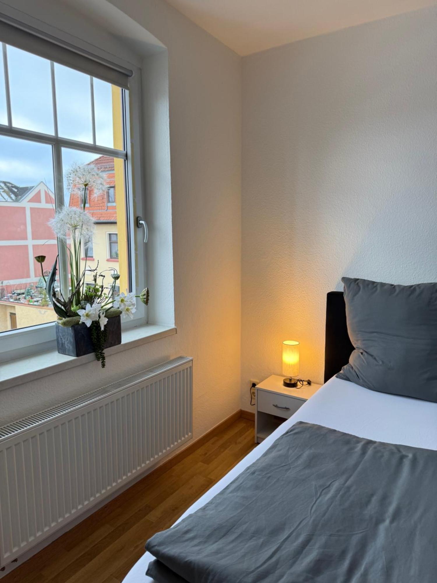 Goeltzschtal Apartment Mylau Экстерьер фото